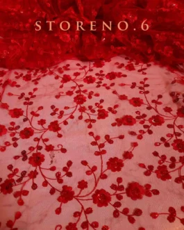 SHINE IN RED SAREE