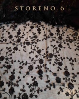 SHINE IN BLACK SAREE