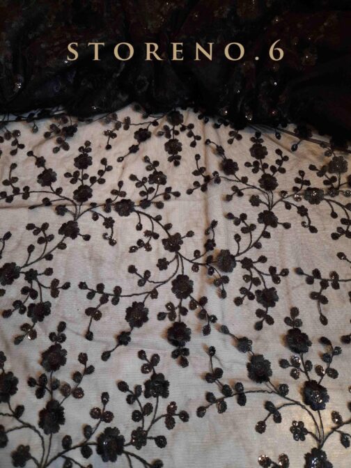 SHINE IN BLACK SAREE