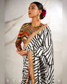 THE WIZARD’S SHOW SAREE
