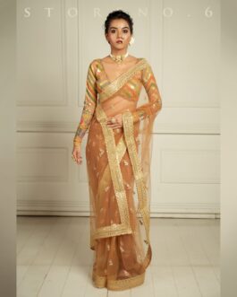 THE QUEEN’S EXOTIC EXPRESSO SAREE